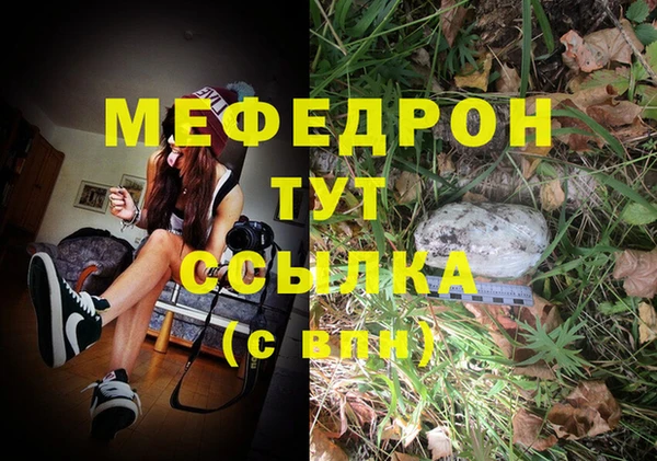 прущие грибы Пересвет