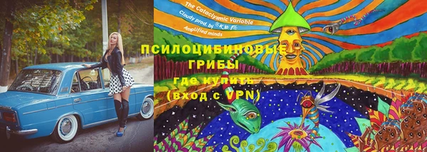 молекула духа Алексеевка