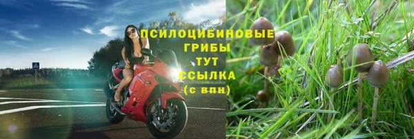 молекула духа Алексеевка