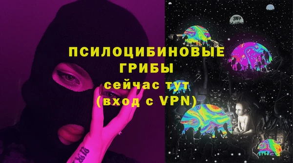 герыч Алексин