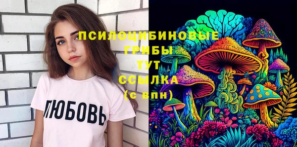 герыч Алексин