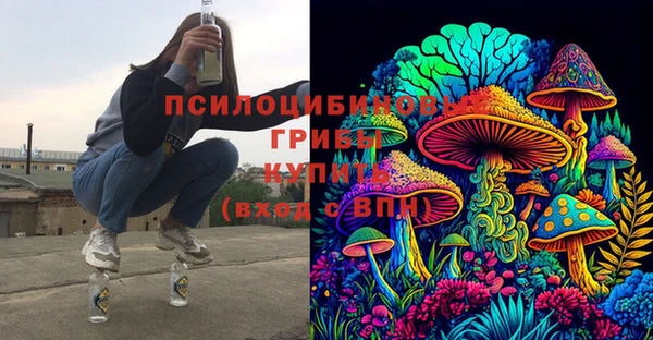 молекула духа Алексеевка