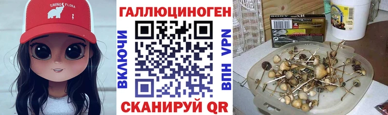 Галлюциногенные грибы мухоморы Красноуральск